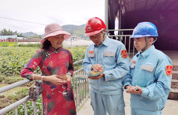 观赏唯美葵花正当时 安全用电宣传进景区