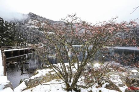 宛若童话世界 螺髻山景区迎来今年秋冬第一场雪