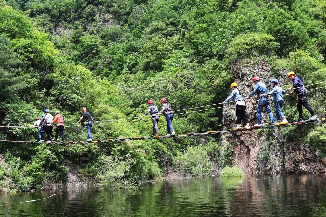 终南山寨1.webp.jpg