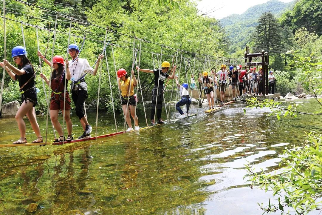 终南山寨3.webp.jpg