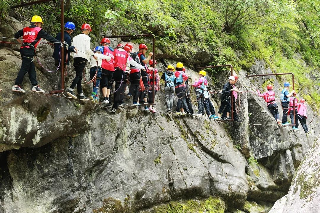 终南山寨5.webp.jpg