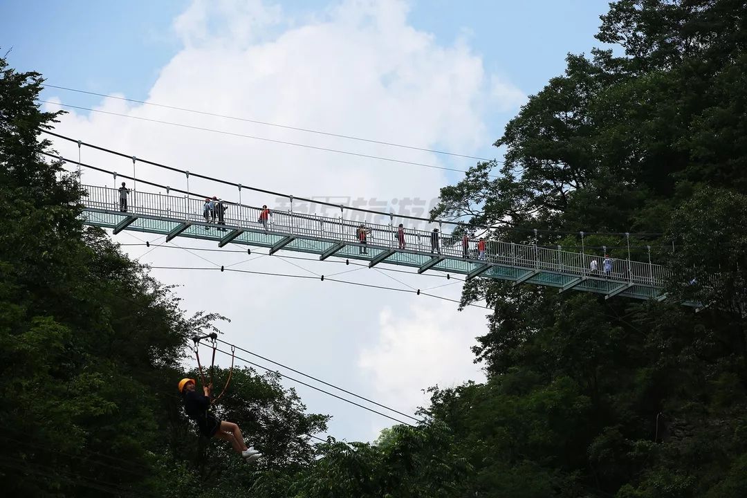 终南山寨6.webp.jpg