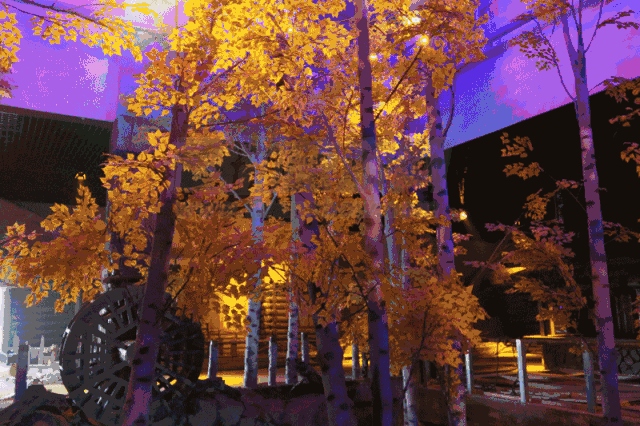 微信图片_20190923100521.gif